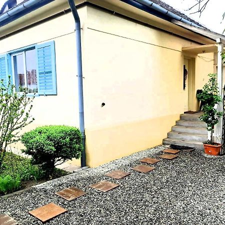 Casa Cu Obloane Albastre Villa Sibiu Exterior foto